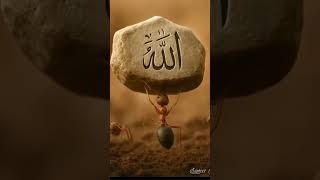 Best nasheed, Music, Quran, anasheed, baby sleep quran, beautiful nasheed, best music  جميل, Guraba