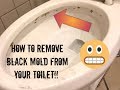 HOW TO REMOVE BLACK MOLD FROM YOUR TOILET! / MOTIVATIONAL CLEANING!