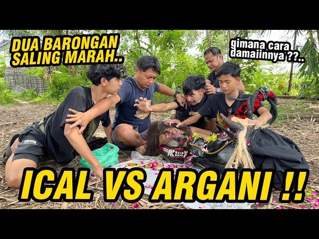 ICAL VS ARGANI !! Dua barongan ini ternyata gak mau akur class=