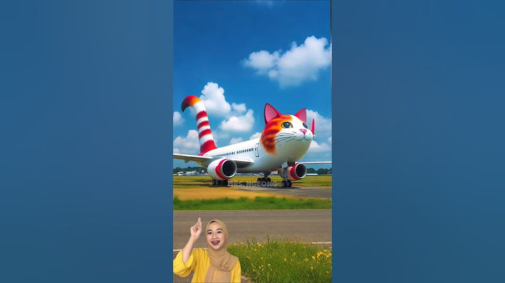 ❤️ Evolution of Cat : Airplanes 😍 Cute cat ✅ #cat #airplane #shorts