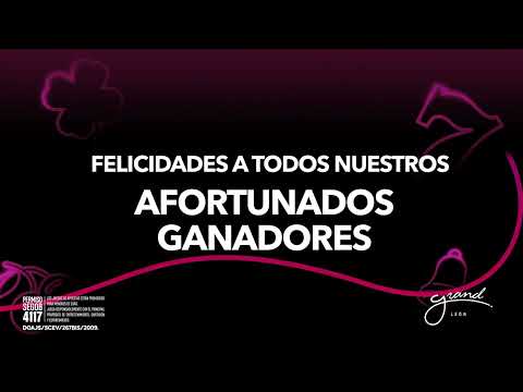Te Organizas y después lo APUESTAS TODO #apuestas #casino #superalaludopatia #hábitos