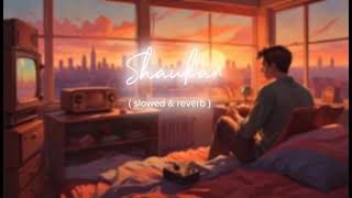 Shaukan Slowed & Reverb Ulajh,Janhvi,Gulshan, Roshan Neha Kakkar,Jubin Nautiyal,Shashwat Sacev