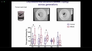 Blood Factors Are Vectors of Communication Between Exposure and the Germline, Isabelle Mansuy, PhD