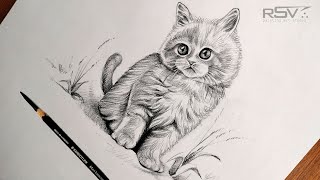 How to draw a cat | pencil drawing | step by step | black and white