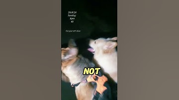 GET YOUR SH*T DONE!! #Discipline #Dedication #hardwork #consistency #commitment