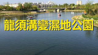 自駕游河北，石家莊靈壽松陽河濕地公園，龍鬚溝變公園，一河改變一城【行影步離國內版】