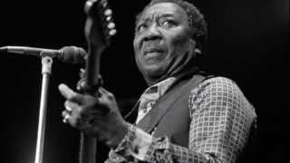Video thumbnail of ""I'm Ready" (W.Dixon) by Muddy Waters. 1977 Version."