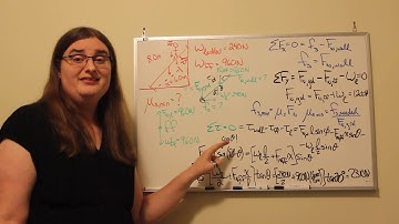 A Ladder in Static Equilibrium