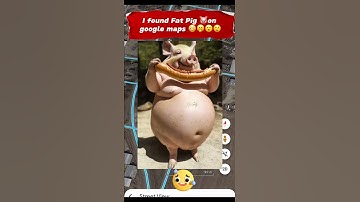 I found Fat Pig on google maps #googleearth #tranding #yt #ytshorts #viralshorts
