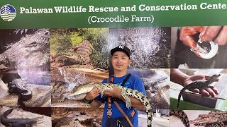 TraVel Vlog Philippines 2022 Palawan City Tour Crocodile And Butterflies Farm by Crisanta Love Vlog’s 388 views 1 year ago 13 minutes, 38 seconds