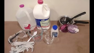 Apologia Exploring Creation with General Science 2nd Edition Experiment 13.2