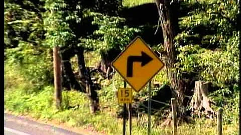 #1  Signs Signals Pavement Markings