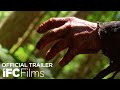 "Buckle Up" Trailer