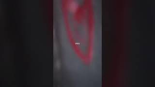 Heiko Und Roman Lochis