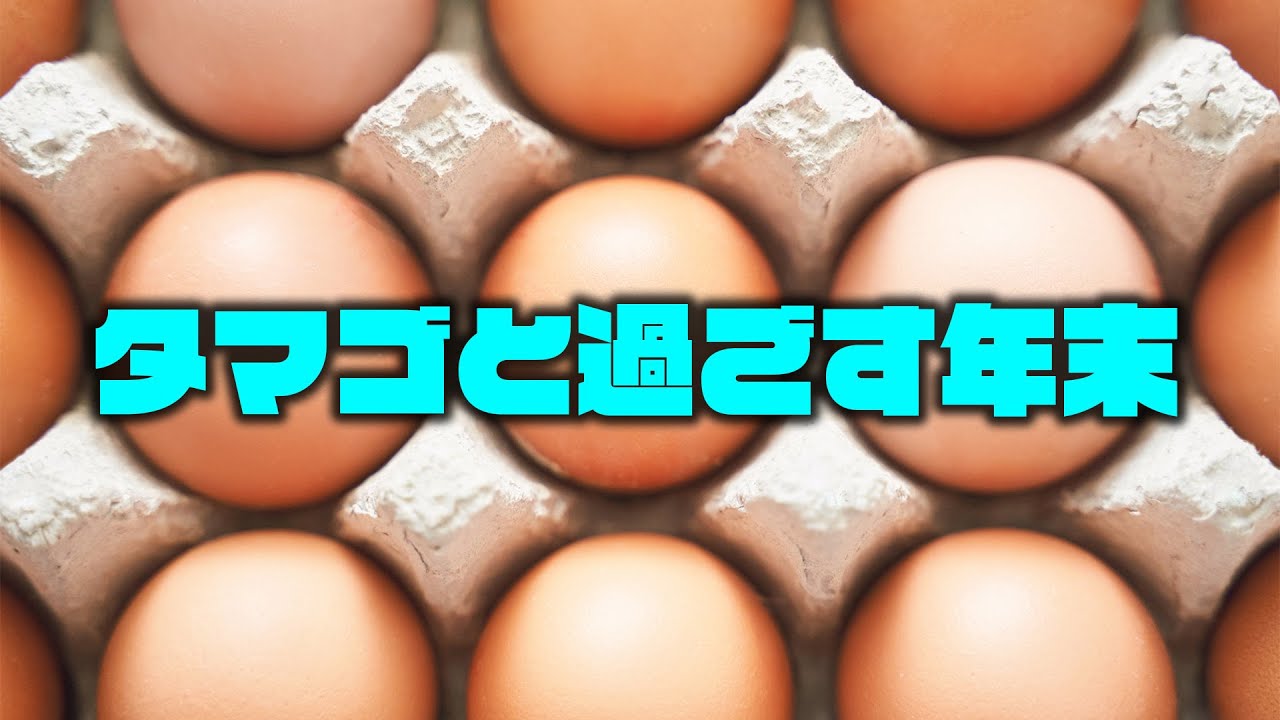 【鬼畜】年の瀬を無理ゲーと一緒に過ごす男たち【Lost Egg2】