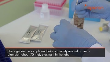 C. difficile toxin A+B rapid test — detection of C. difficile and toxins A/B