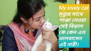 My lovely cat ... অসুস্থ বিড়াল কে রাস্তা থেকে কুড়িয়ে নিয়ে এসে কেনবা এত ভালোবাসেন দেখুন।