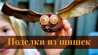 Поделки из шишек для детей ☂ Поделки из шишек своими руками