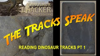 Learn To Read Dinosaur Tracks (Part 1)