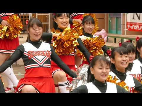 4K チアダンス ③【誠之館高校】 2019 秋 - YouTube