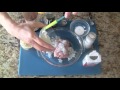 Middle of video