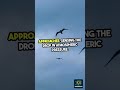 “Unbelievable Animals That Predict Storms Before They Happen!” #shorts