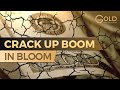 Crackup boom in bloom  market end game series with egon von greyerz