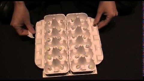 Quantum Annealing Game