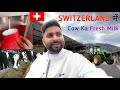 Switzerland mein cow milk  indians in swiss vlog