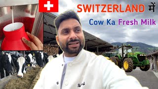 SWITZERLAND Mein COW Milk🇨🇭 || Indians In Swiss #vlog