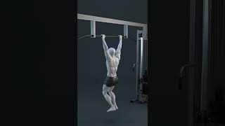 Perfect Pull-Up Form | Learn the Correct Technique #shorts #pullup #fitness