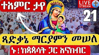 ⭕Live #ጻድቃኔ_ማርያምን መሠለ♦እመቤታችን ታየች በደብረ ምጥማቅ ቀጥታ ከመንበረ ፓትርያርክ ማርያም ግንቦት 21|| EOTC St. Mary May 29