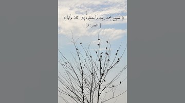 سورة النصر ( الآية ٣ ) الشيخ محمد صديق المنشاوي #المصحف #قرآن #المنشاوي