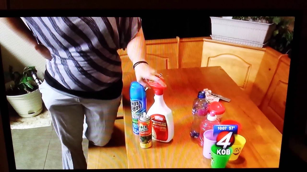 Pirate Pest Control on KOB news for Roaches In ABQ YouTube