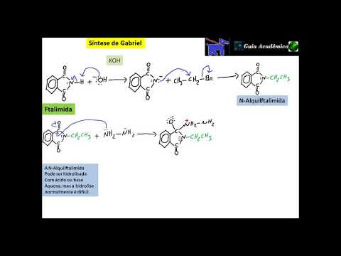 Vídeo: Qual amina pode ser preparada pela síntese de Gabriel ftalimida?