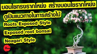 บอนไซทรงรากโหย่ง สร้างบอนไซรากโหย่ง ดูเป็นแนวทางในการสร้างไม้  Roots Exposed Style, exposed root bon