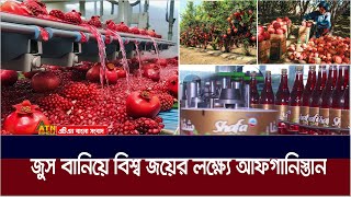 কীভাবে আনারের জুস রপ্তানি করে এগিয়ে যাচ্ছে আফগানিস্তান ? | Afghan Drink | Pamir | Pomegranate Juice screenshot 2