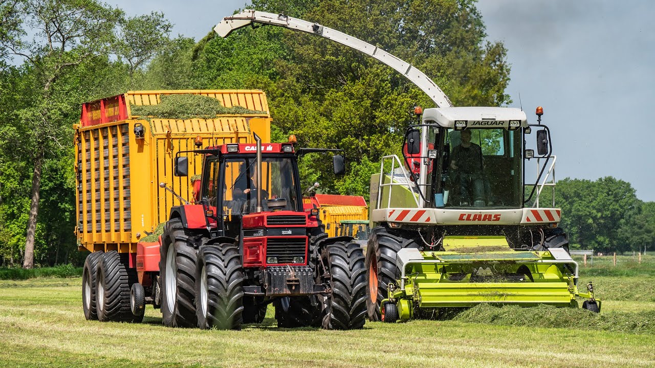 Gras hakselen met Straight pipe Case IH 1455 XL / Mts Jubbega + Bats / 2022