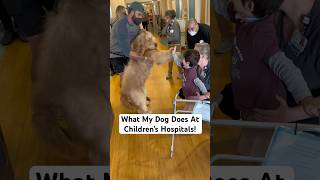 Therapy Dog’s Job At Children’s Hospital! #therapydog #goldendoodle #childrenshospital #spreadsmile