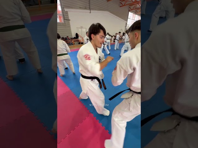 Cristian Boldut Fight Camp 2026 #kyokushin #shinkyokushin #karate #1kyokushin #一極真 #極真会館