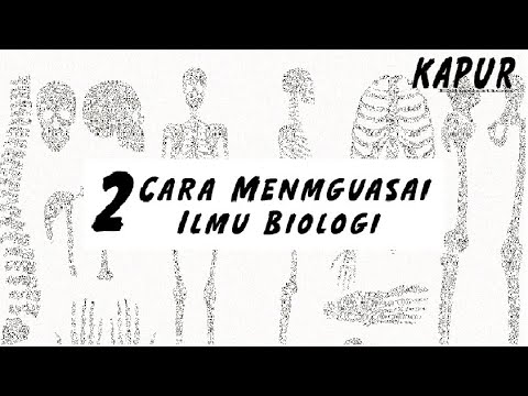 Video: Apakah yang anda pelajari dalam biologi peringkat?