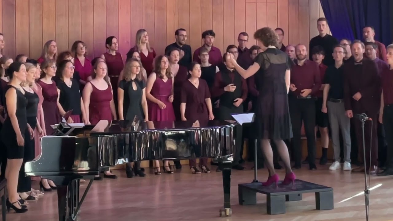 Ich war noch niemals in New York - Polyphoniker - Sommerkonzert 2024