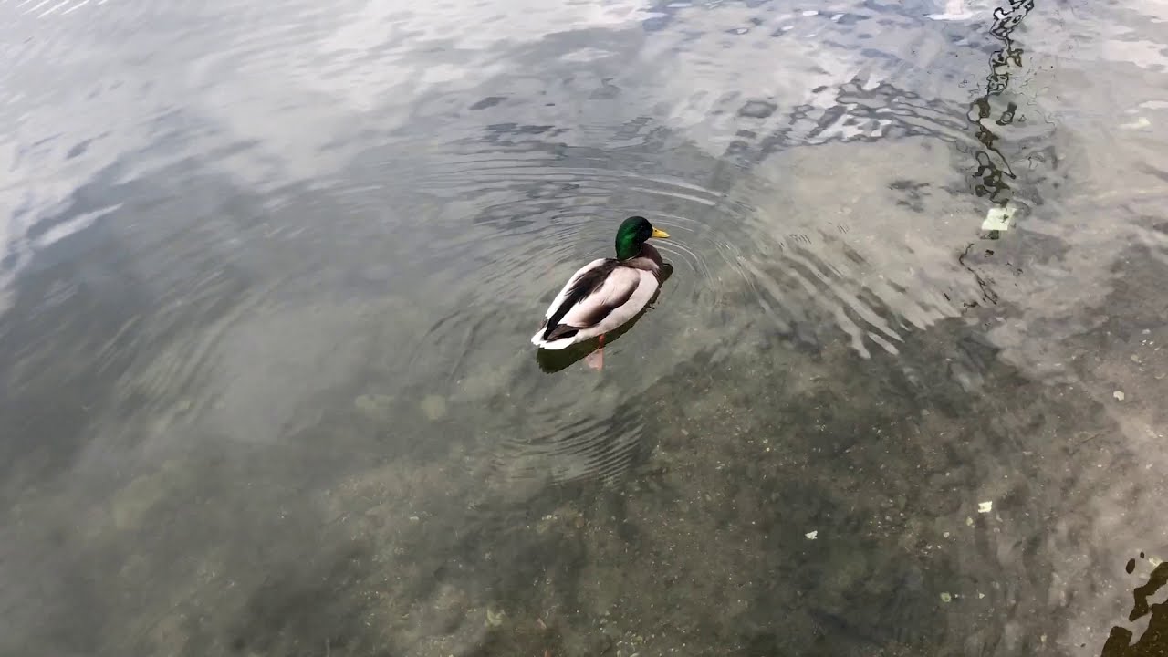 Trakai Historical National Park