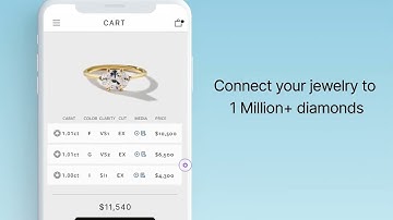 Unbridaled AI Shopify App Demo