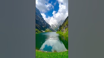 سورة الزخرف القارئ وسام محمد الناصر#قرآن #قران #القران_الكريم #القرآن_الكريم #قران_كريم #قرآن_كريم #