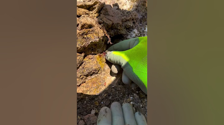 he found a red diamond in the soil #shortsvideo