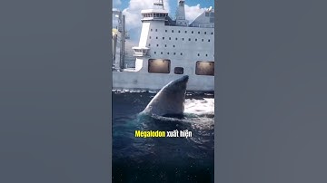 Lý do nào khiến cá mập Megalodon tuyệt chủng, sự thật thú vị mà có thể bạn chưa biết.