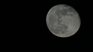 Night migration of birds and the Super Moon - Moonwatching