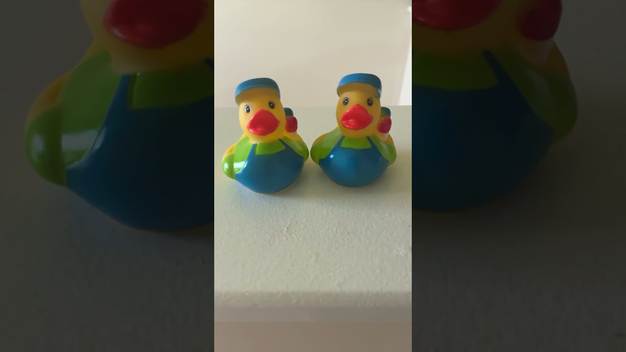 Ducks being ducks 