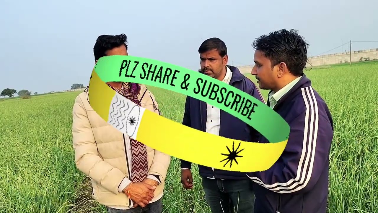 Garlic crops protection kit PUSKAL AGROTECC KIT